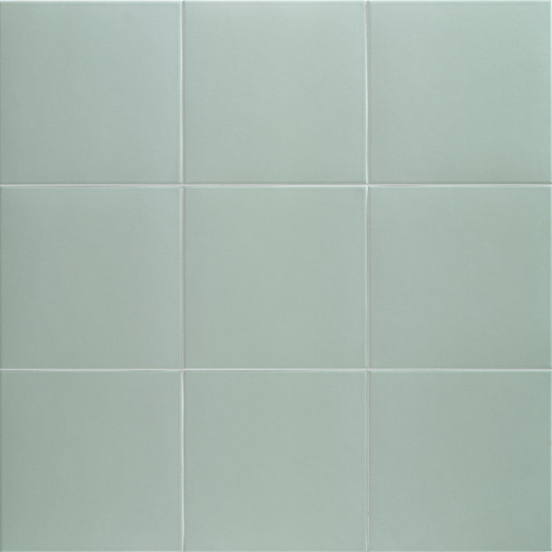 ALOE-TECHNICAL-20X20-MAINZU.jpg
